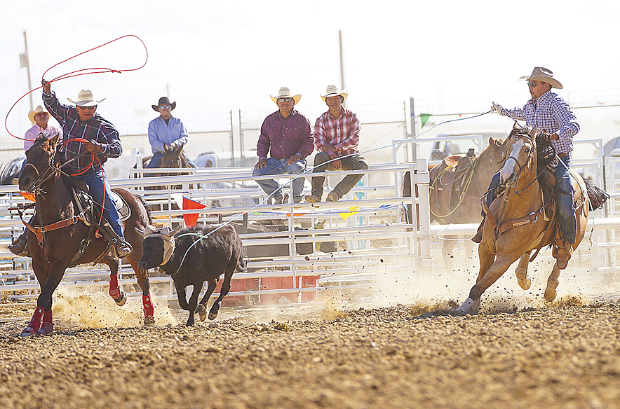 Navajo Times | Quentin Jodie
Erich Rogers (right) ropes the steer in the open team roping while heeling partner Victor Begay waits his turn Sunday afternoon at the 110th Annual Northern Navajo Fair. Rogers won the event with Aaron Tsinigine as the pair recorded a 4.92 run.